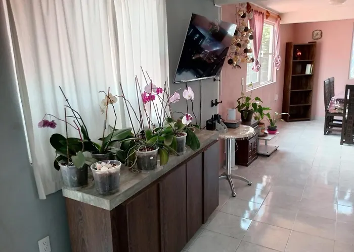 Casa Orquidea *